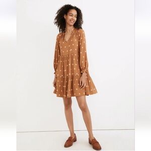 Madewell Brown Polka Dot Long Sleeve Dress